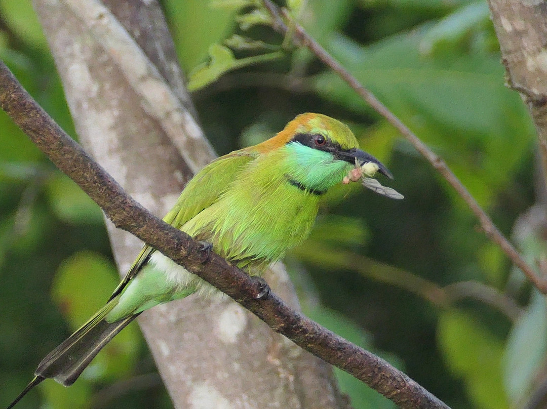 L S L Adventure Travels & Tours-Marawila必去景点