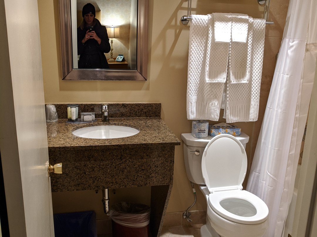 莫法特酒店主图