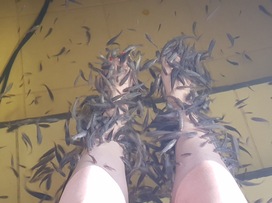 Kessem Bemaga Spa-Or Yehuda必去景点