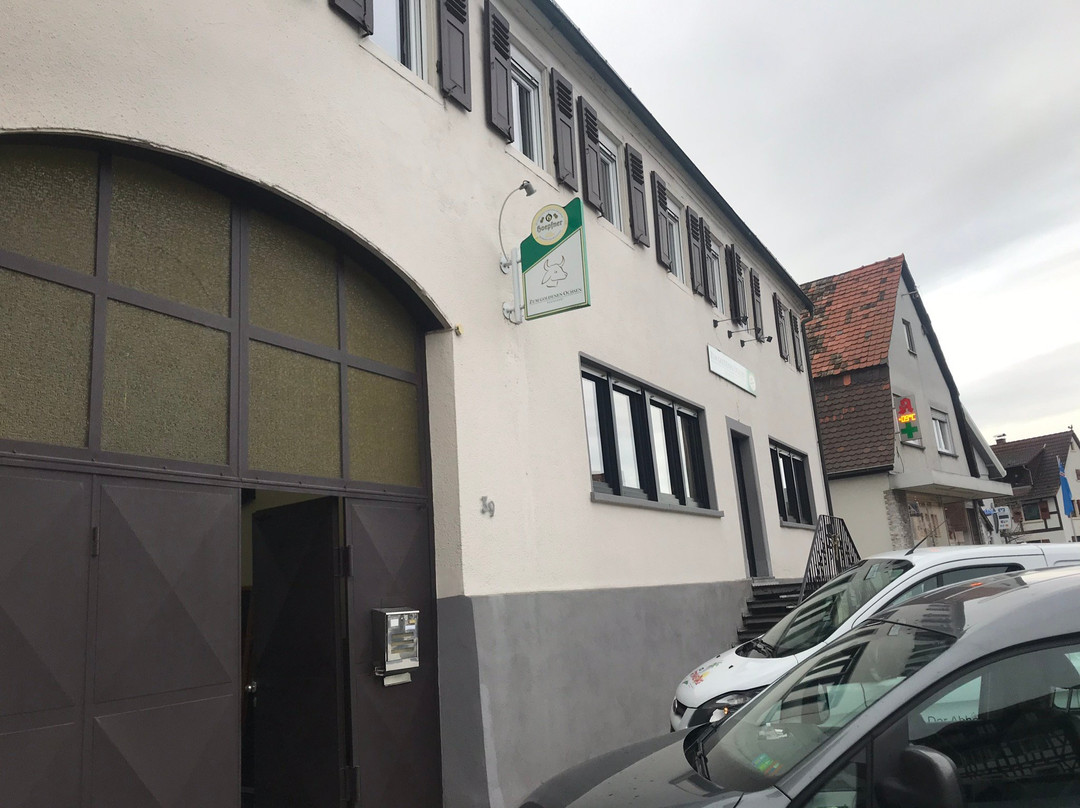 Dettenheim旅游攻略图片