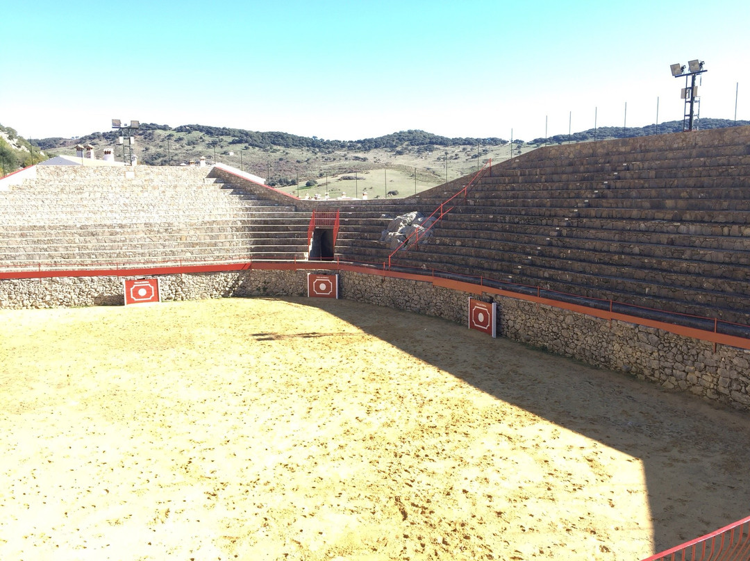 Plaza de Toros景点图片