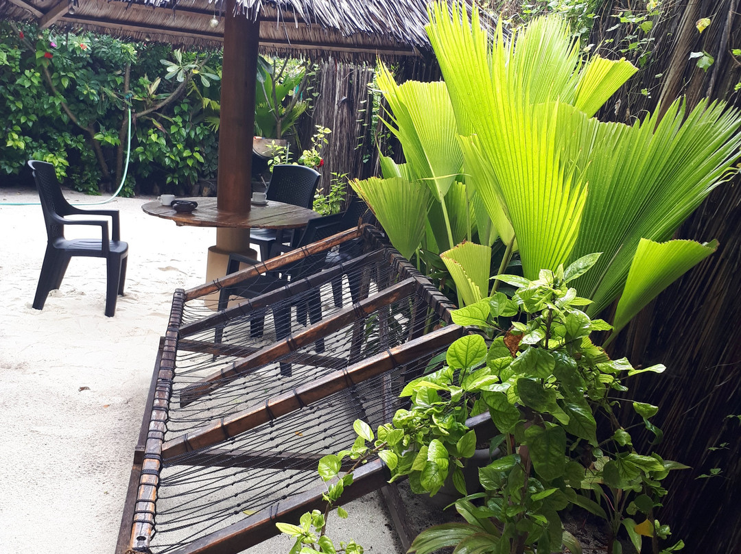 Hanifaru Transit Inn主图