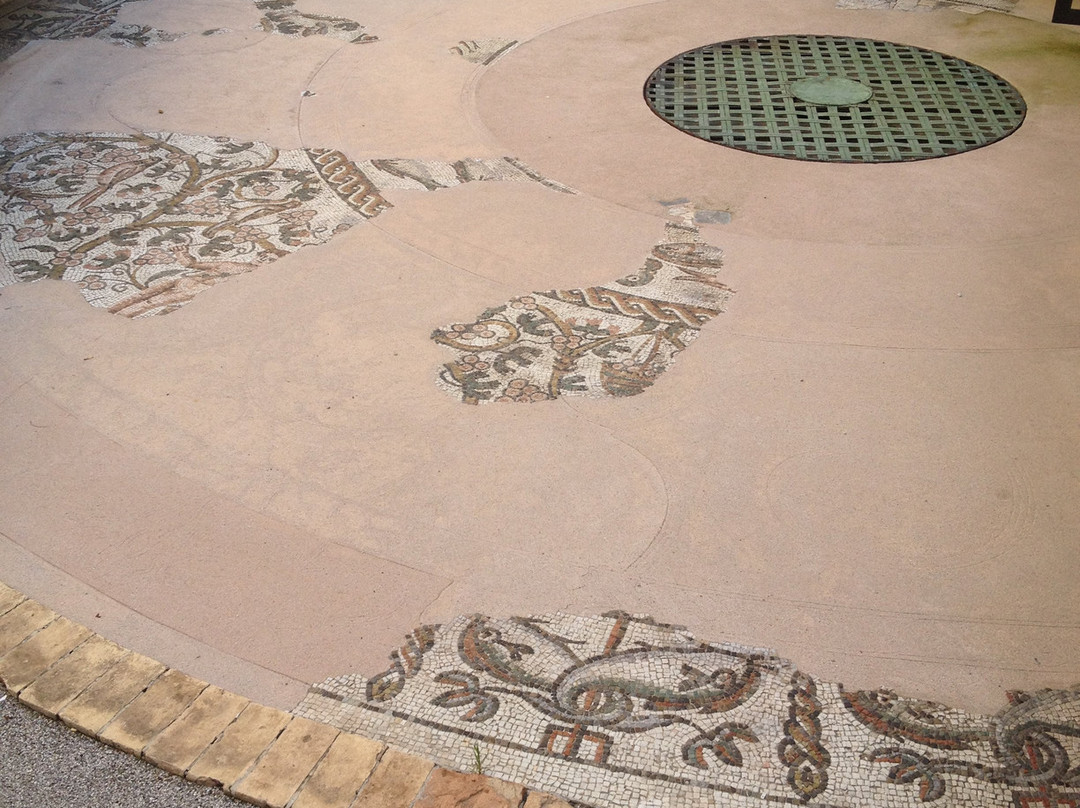 Mosaico Tardoantico-特雷维索必去景点