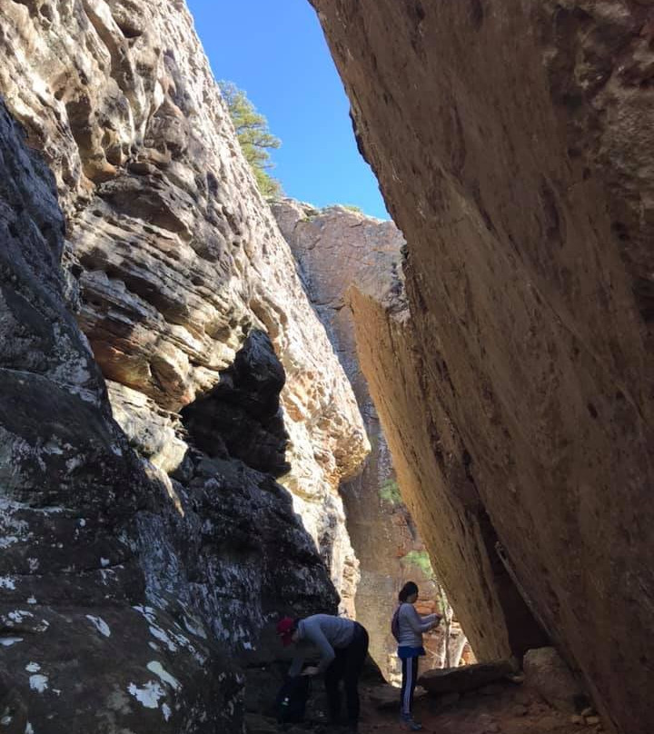 37 North Expeditions-本顿维尔必去景点