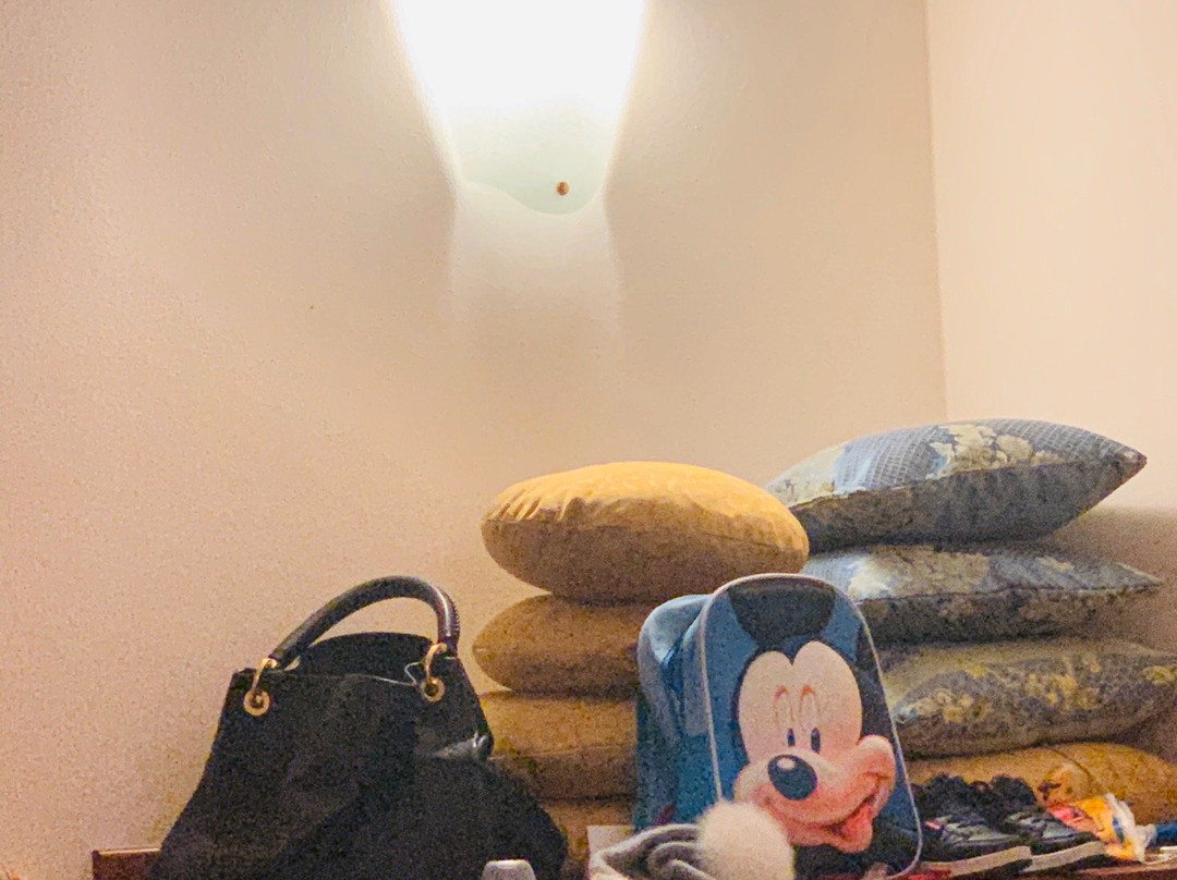 Hotel Piroga Padova主图