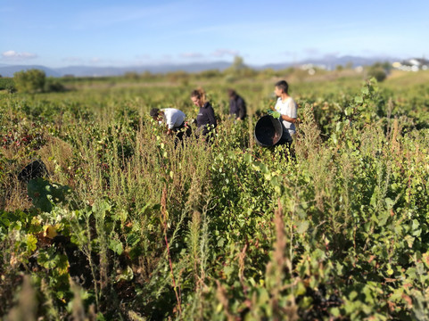 CIVI Camponaraya-Camponaraya必去景点