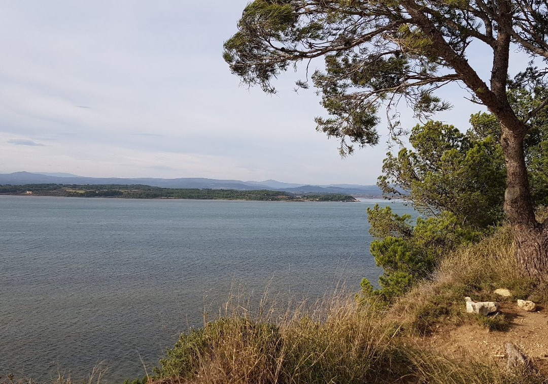 Ile Sainte-Lucie-Port La Nouvelle必去景点