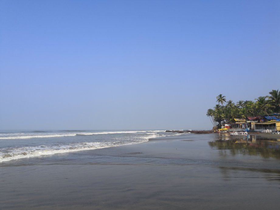 Aquatica Resort & Spa主图