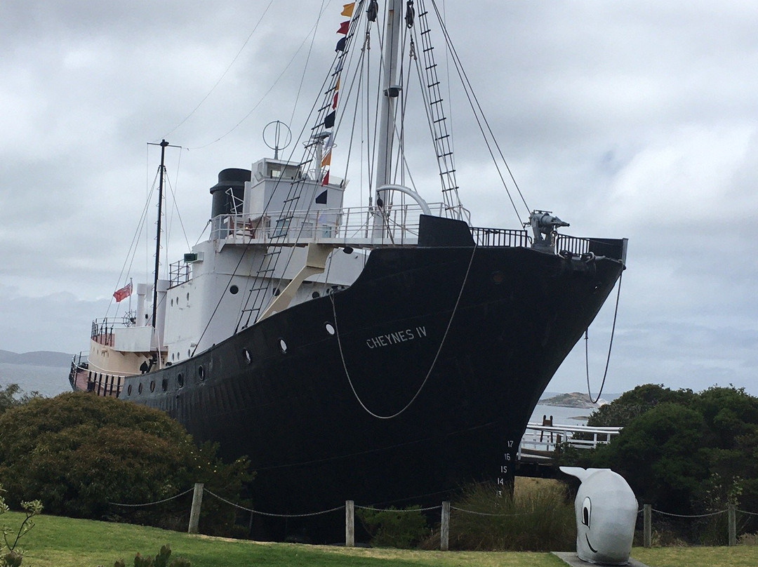 Frenchman Bay-奥尔巴尼必去景点