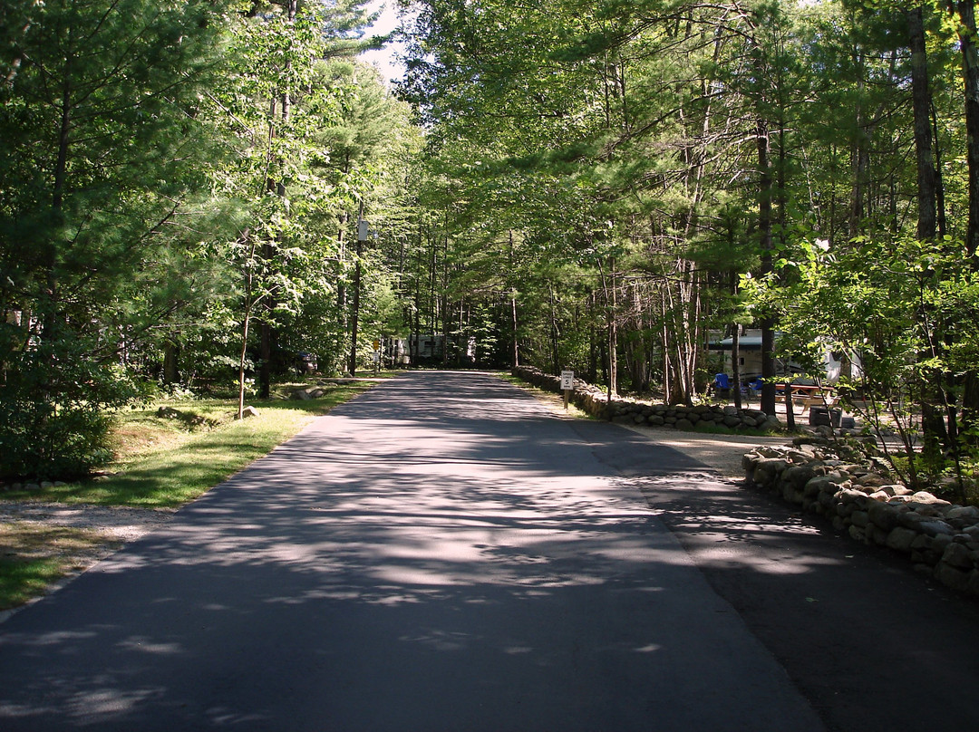 Harbor Hill Camping Area