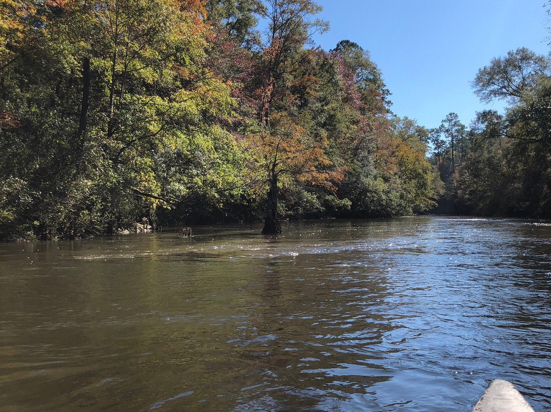Black Creek Canoe Rental景点图片