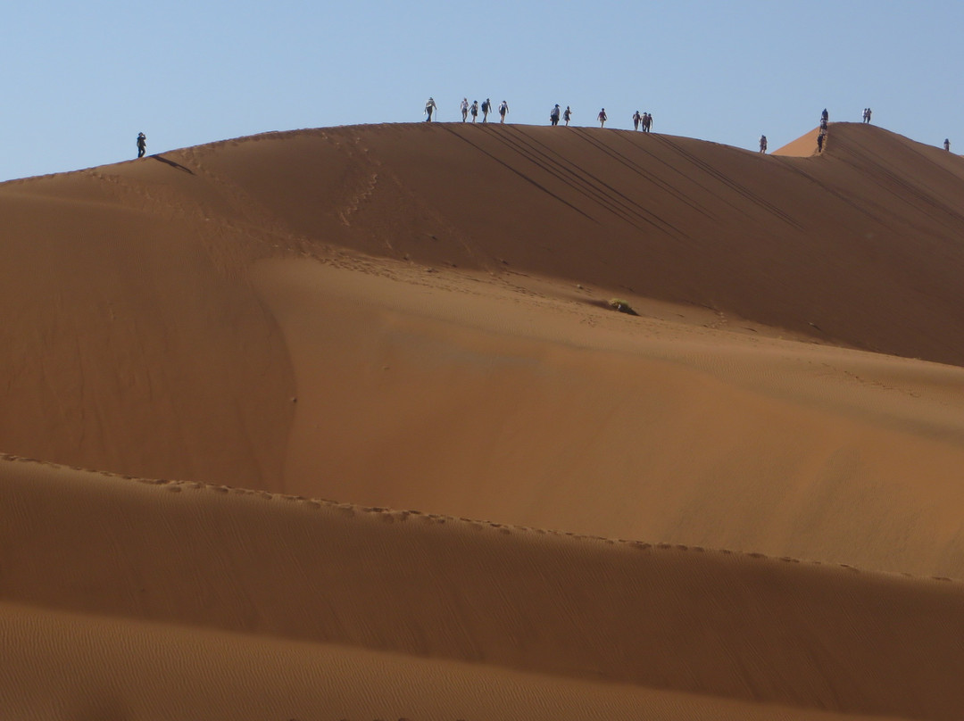 African Extravaganza-苏丝斯黎必去景点