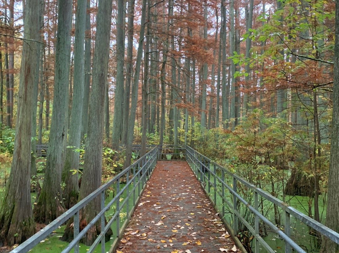Heron Pond Preserve-Belknap必去景点
