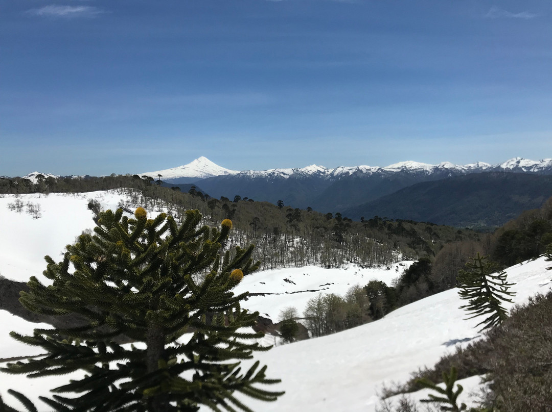 Ñamku Adventure-Melipeuco必去景点