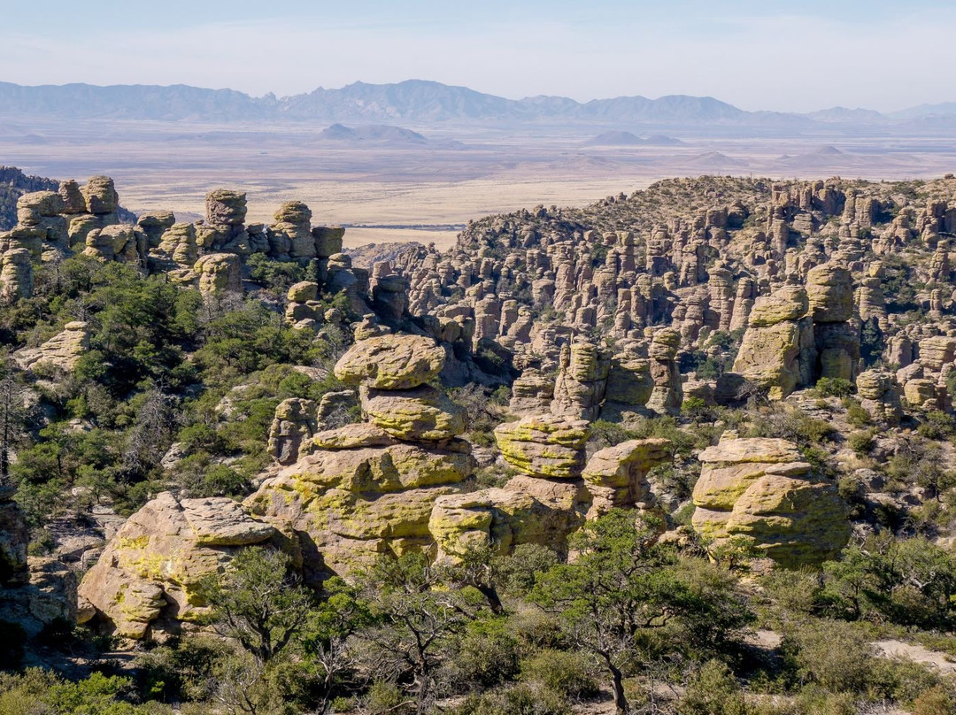 Massai Point-Willcox必去景点