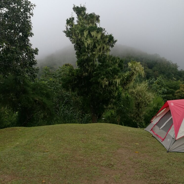 Holywell Park-金斯敦必去景点