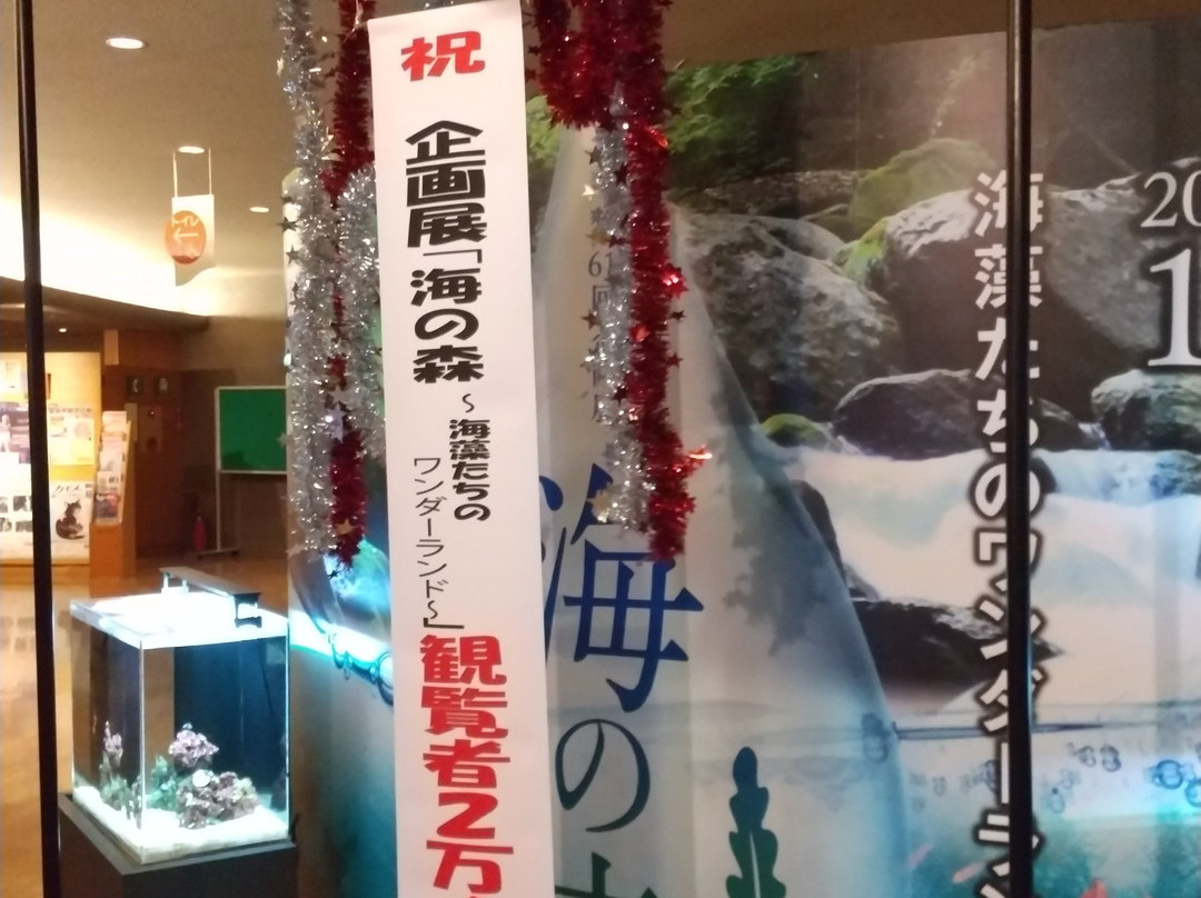 Gunma Natural Museum景点图片