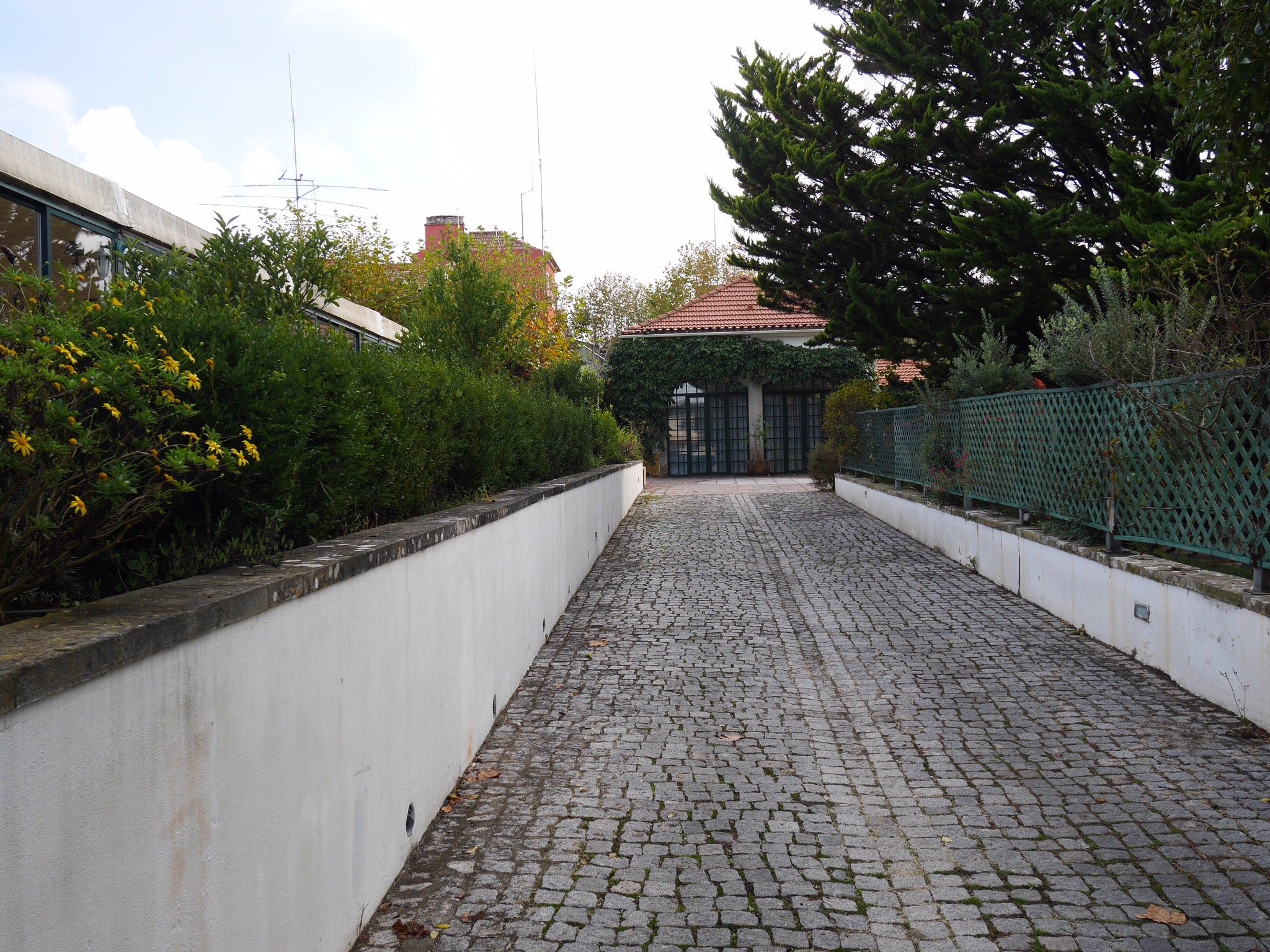 Villa das Rosas-官方