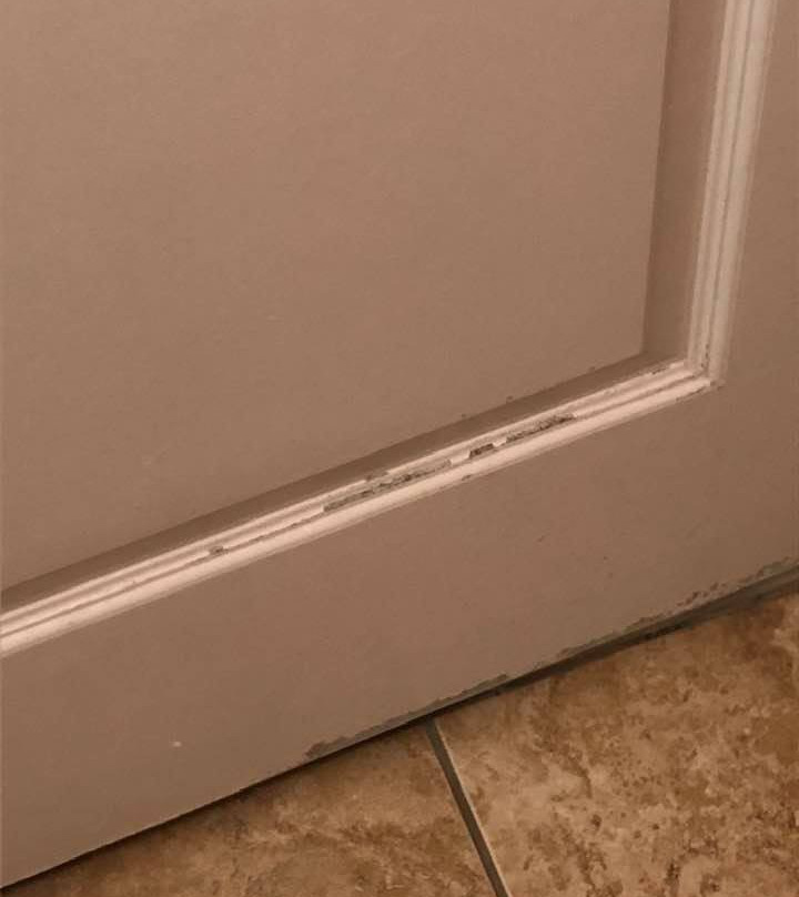 Comfort Suites Valdosta主图