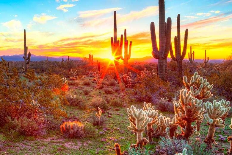 Quartzsite Adventures-Quartzsite必去景点