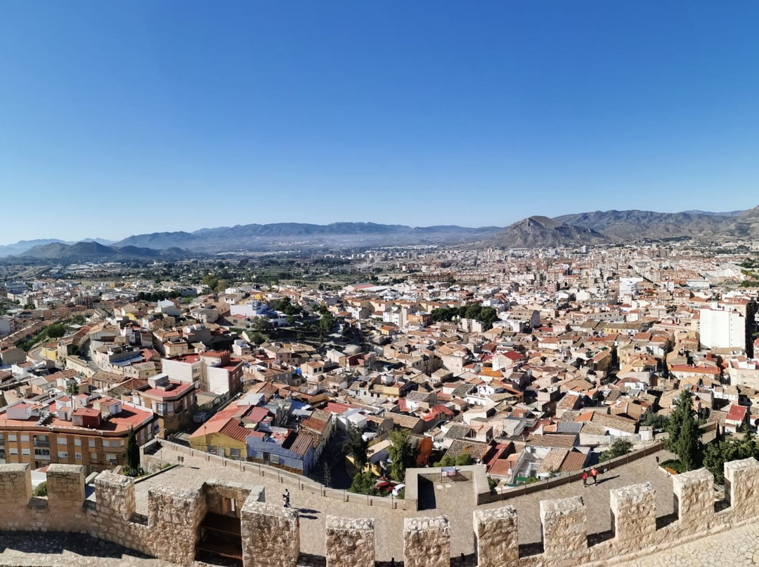 Castillo de Petrer景点图片