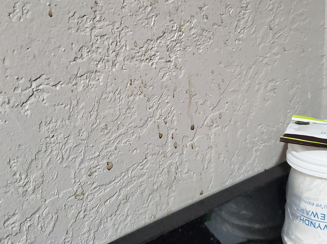 Comfort Inn & Suites主图