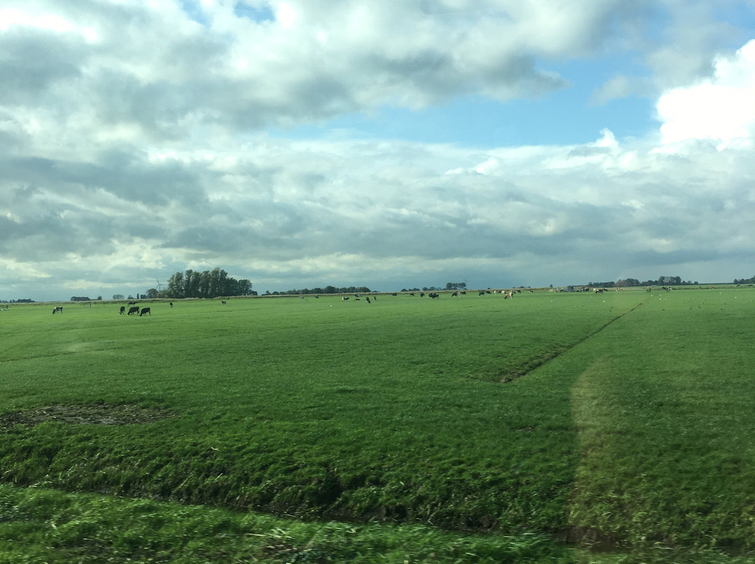 Amsterdam Lake District Tours-阿姆斯特丹必去景点