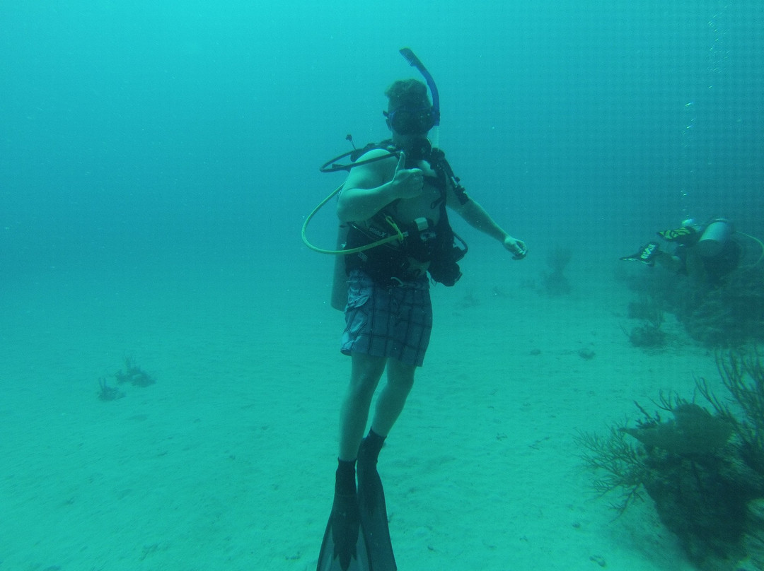 Aquatic Adventures-库莱布拉岛必去景点