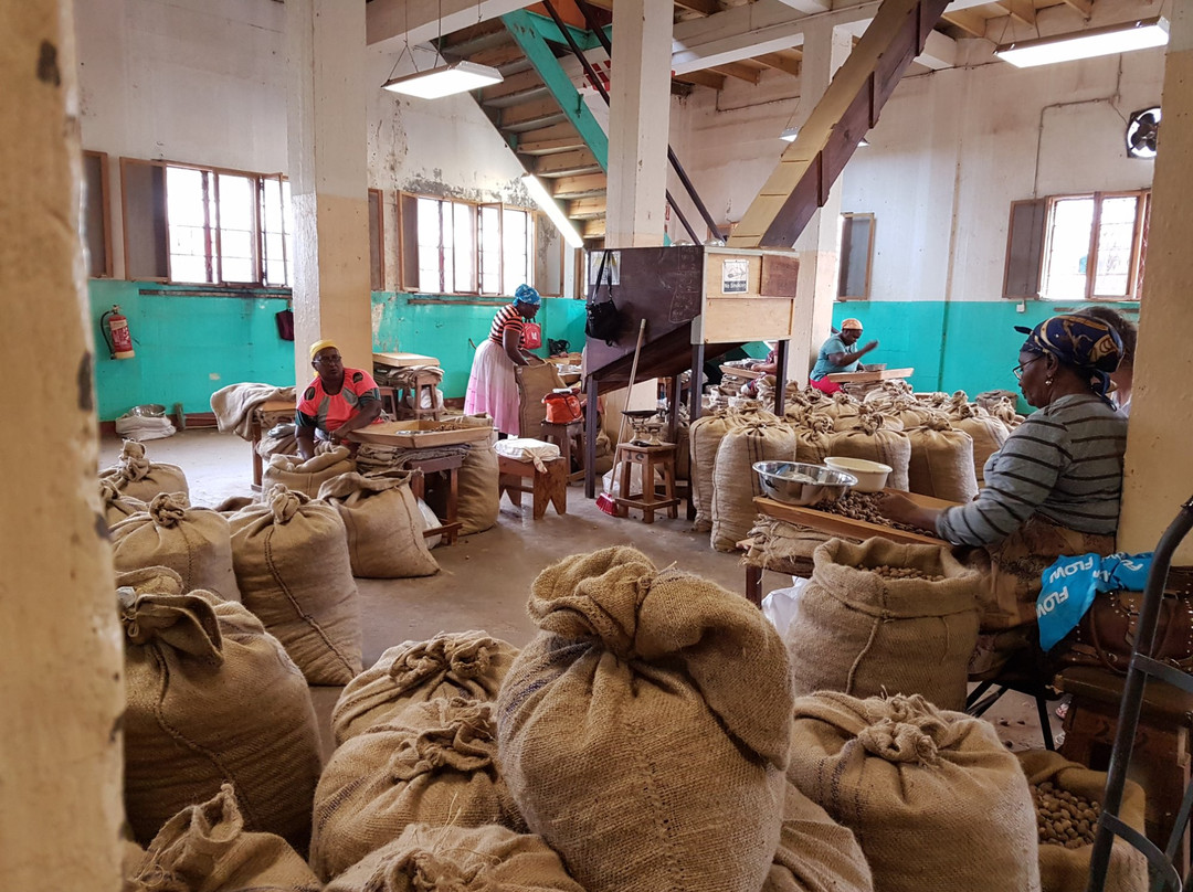 Victoria旅游景点-Gouyave Nutmeg Processing Station