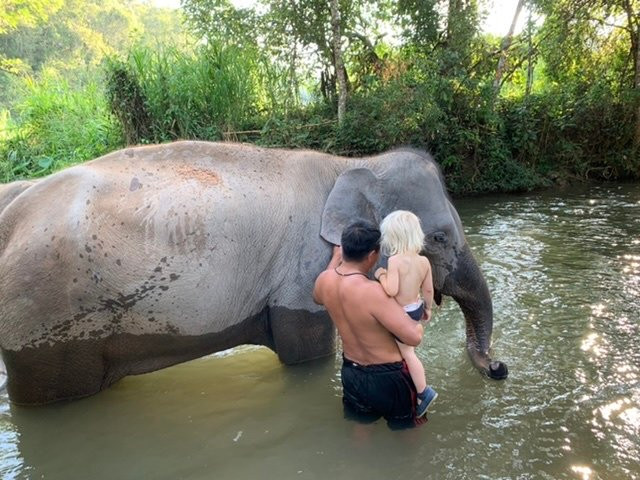 Blue Daily Elephant Care Sanctuary景点图片