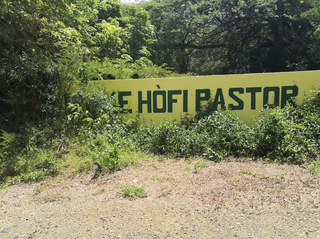 Barber旅游景点-Hofi Pastor