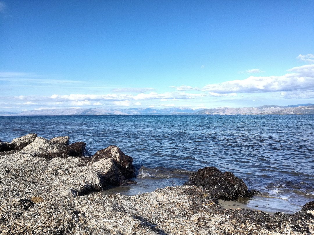 Mediterranean Blue主图