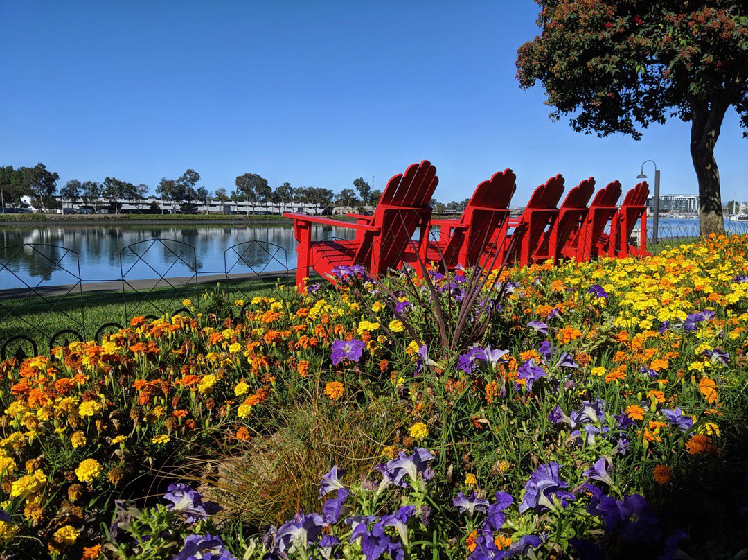 奥克兰行政酒店&套房主图