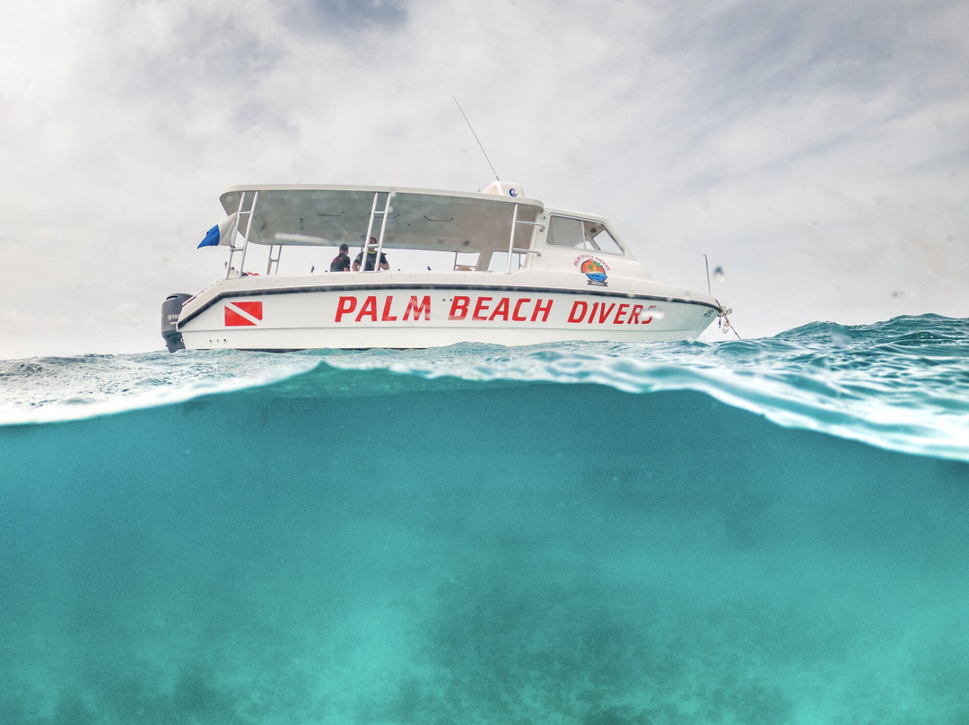 Palm Beach Divers-Noord必去景点