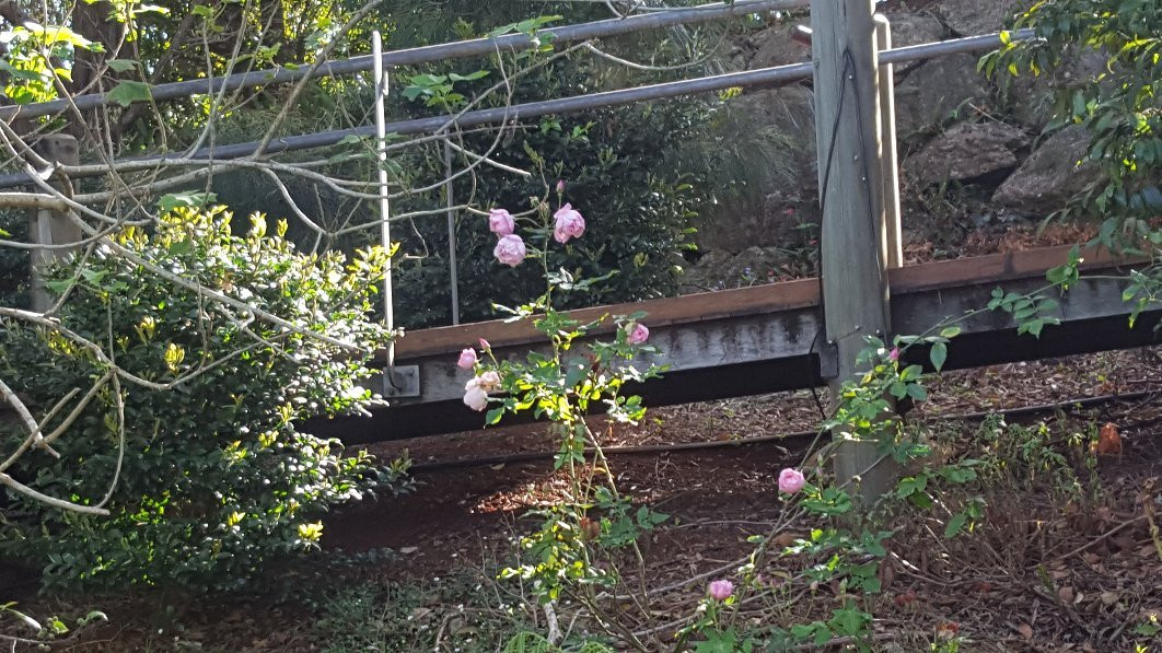 Spotted Chook Ferme Auberge主图