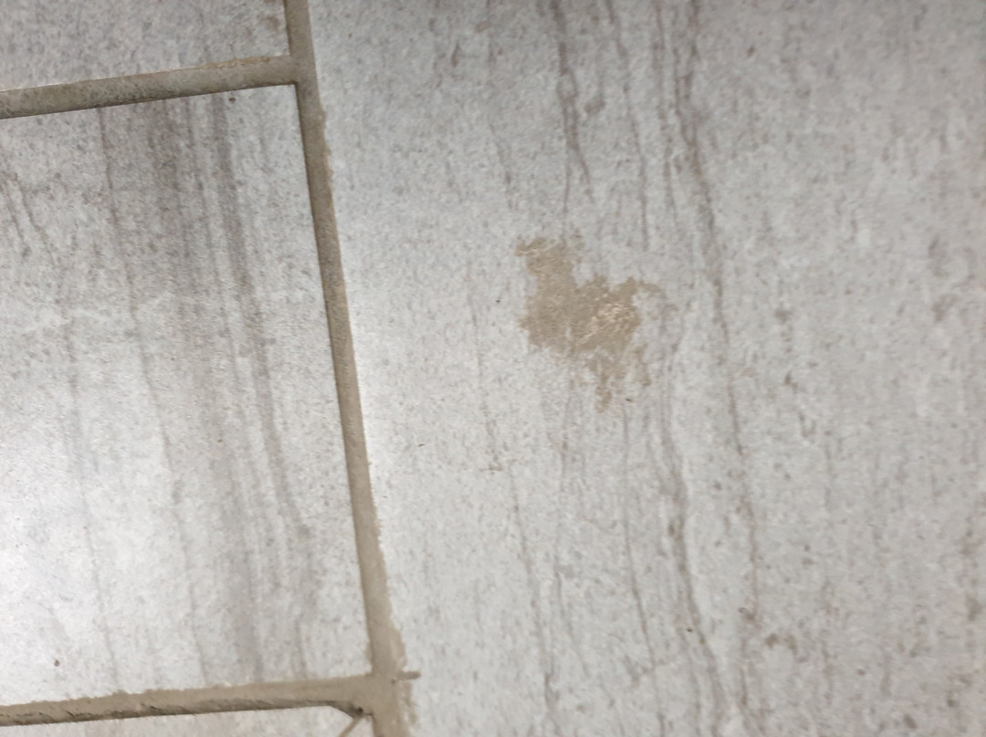 Albatros Hotel主图