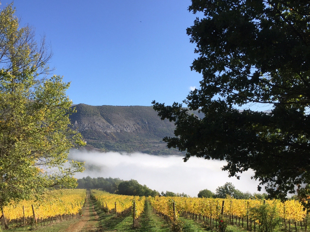 Azienda Agricola Vigna di More-Tione degli Abruzzi必去景点