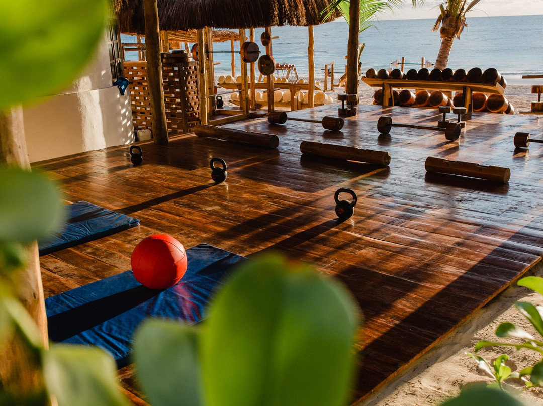 图伦旅游景点-Tulum Jungle Gym