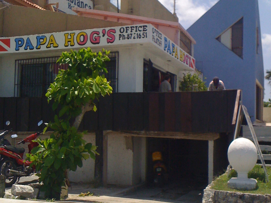Papa Hog's Scuba Emporium景点图片