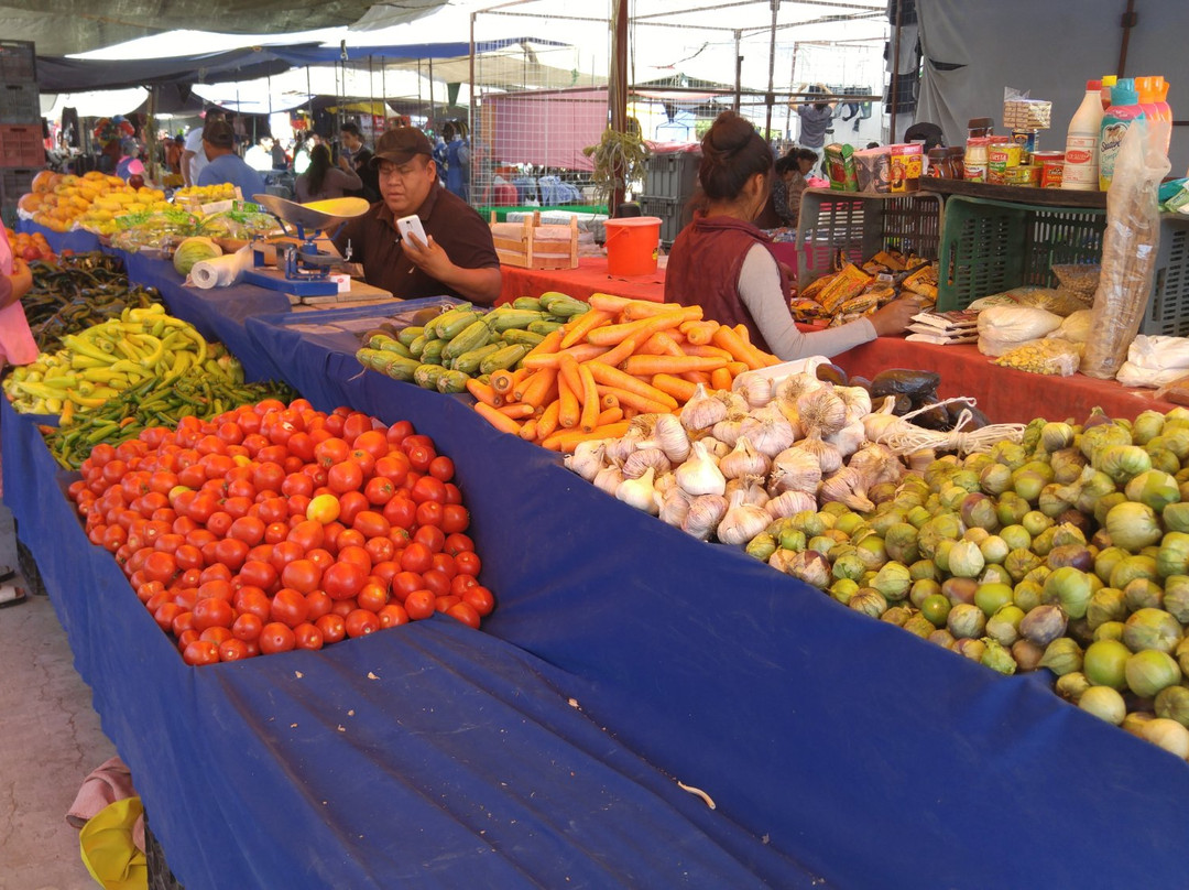 Don Chepe旅游景点-Tianguis De Los Martes