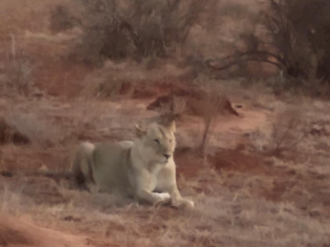 Eco Borders Safaris-马林地必去景点