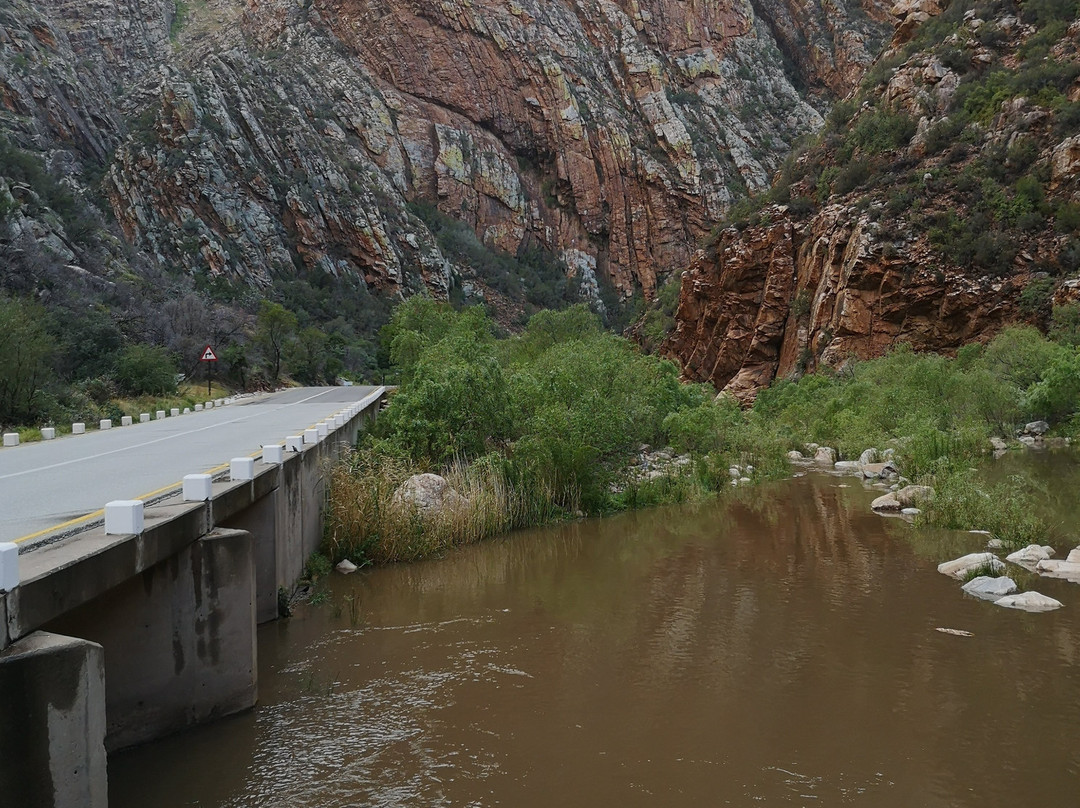Meiringspoort Pass-德鲁必去景点