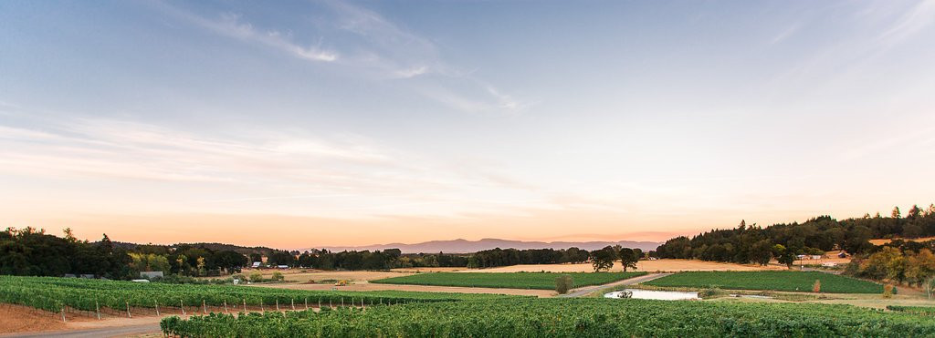 Elmira旅游景点-Five Fourteen Vineyards