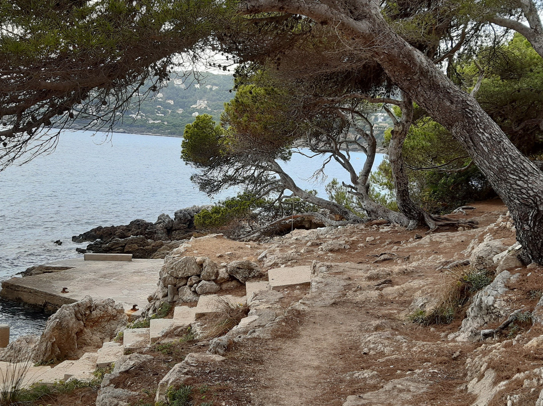 Platja de Canyamel-Canyamel必去景点