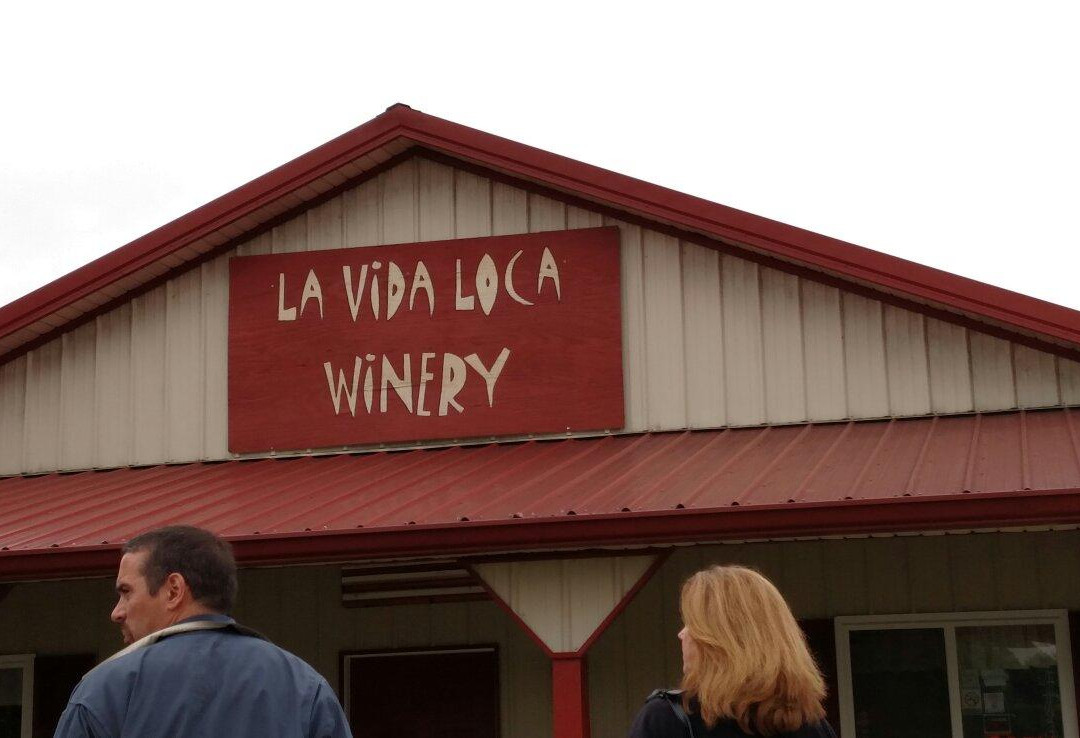 La Vida Loca Winery景点图片