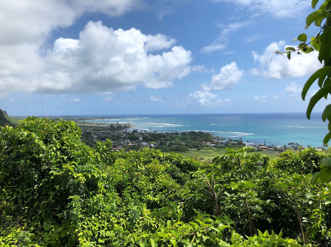 Maʻakua Ridge Trail