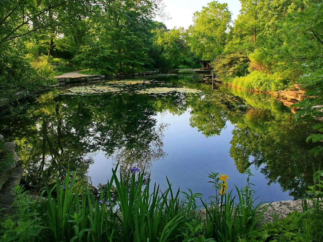 Alfred Caldwell Lily Pool-芝加哥必去景点