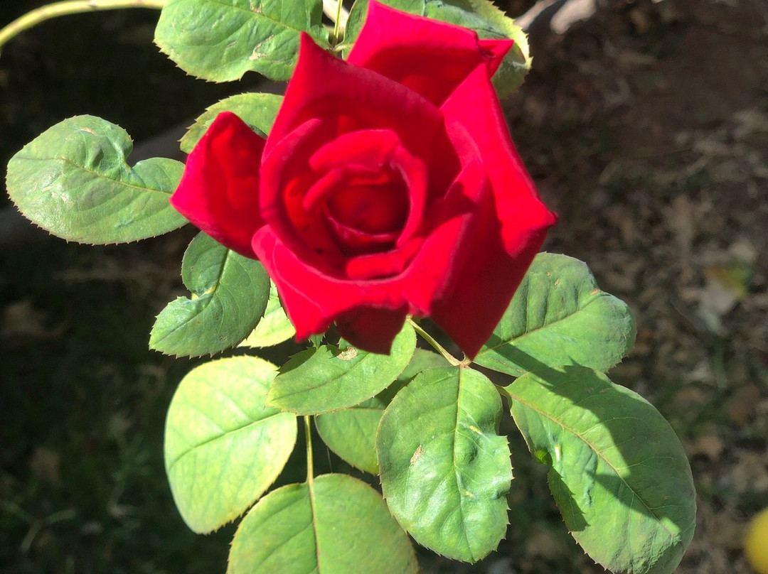 Grand Vista Exclusive Boutique Hotel主图