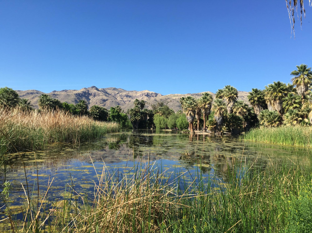 Agua Caliente Park