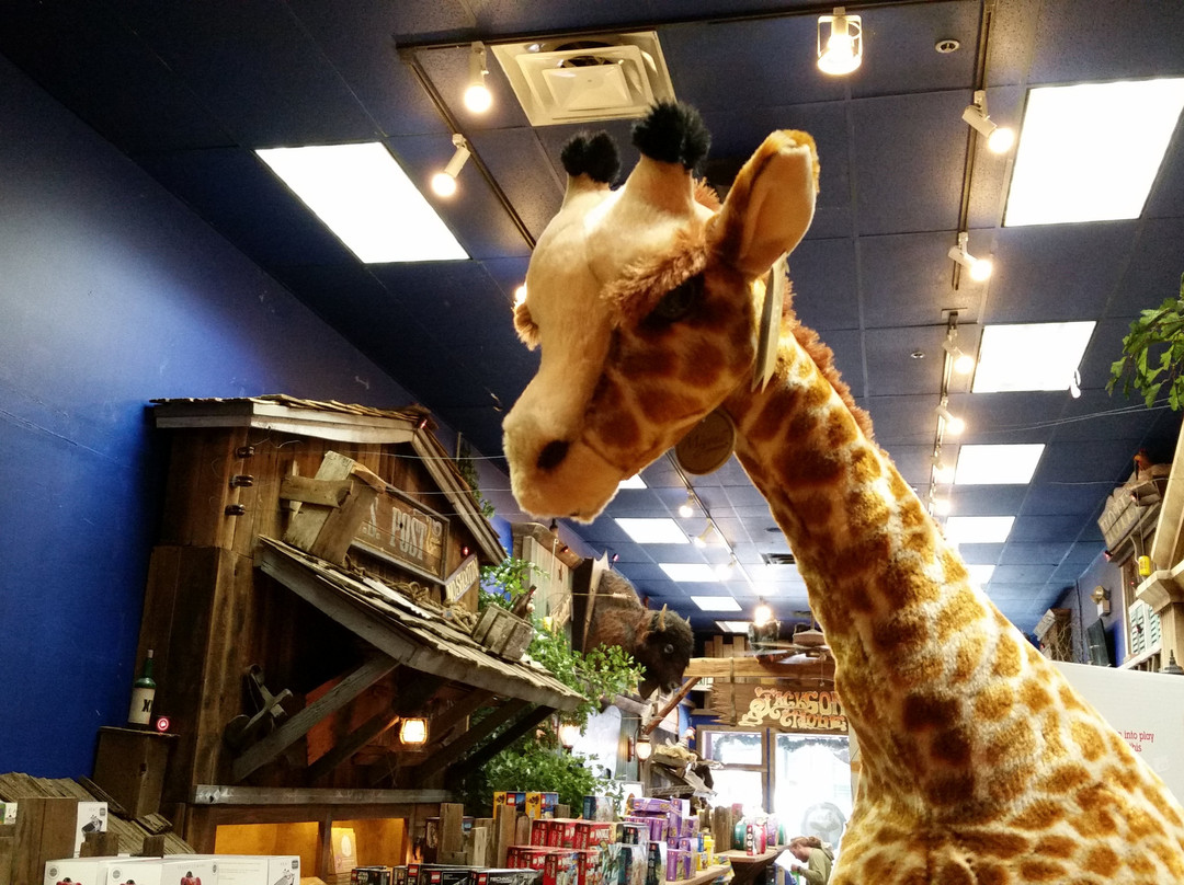 The Jackson Hole Toy Store-杰克逊必去景点